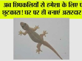 Chipkali Bhagane ke Upay