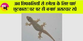 Chipkali Bhagane ke Upay