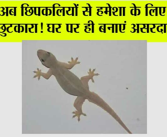 Chipkali Bhagane ke Upay