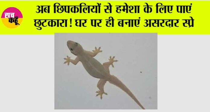 Chipkali Bhagane ke Upay