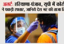 Corona Cases in Haryana Punjab UP