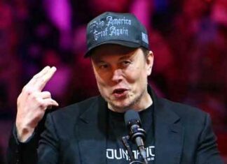 Elon Musk News