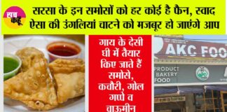 Famous Samosa of Sirsa