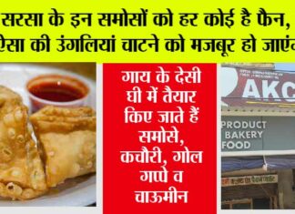Famous Samosa of Sirsa