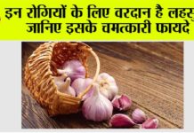 Garlic Benefits