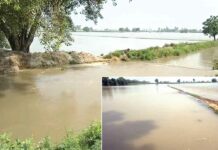 Sangrur News