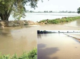Sangrur News