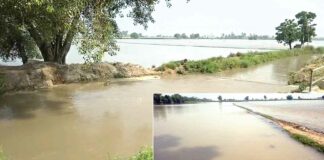 Sangrur News