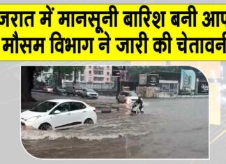 Gujarat Rain News