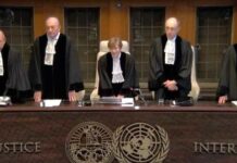 Hague Court News