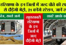 Haryana Metro News