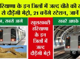 Haryana Metro News