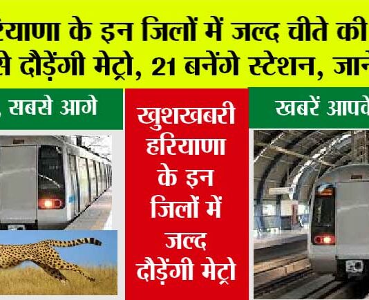 Haryana Metro News