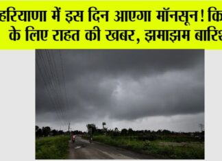 Haryana Monsoon