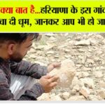 Haryana News