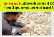 Haryana News