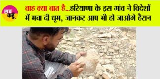 Haryana News
