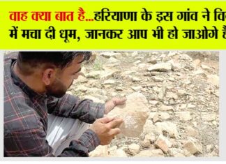 Haryana News