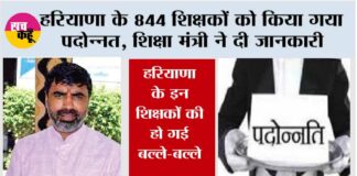 Haryana News: