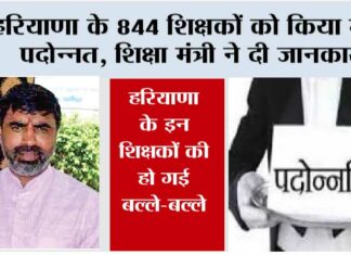 Haryana News: