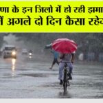 Haryana Rain News