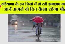 Haryana Rain News