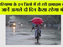 Haryana Rain News