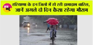 Haryana Rain News