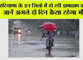Haryana Rain News