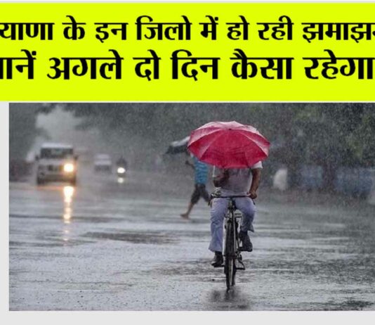 Haryana Rain News