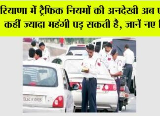 Haryana Traffic Rules