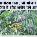 Health Tips