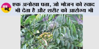 Health Tips
