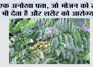 Health Tips