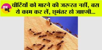 Home Remedy For Ants