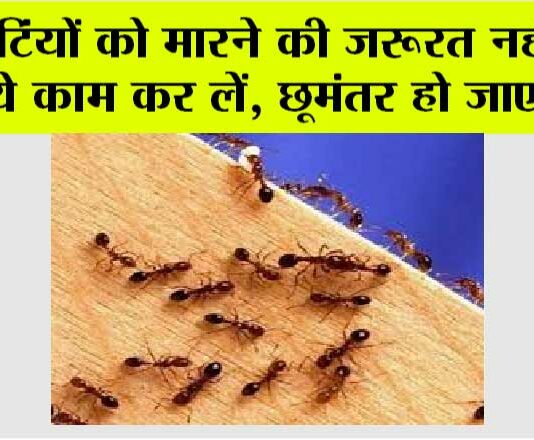 Home Remedy For Ants