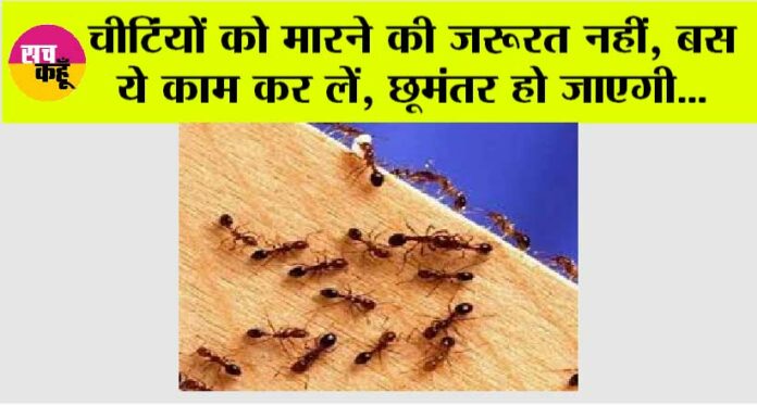 Home Remedy For Ants