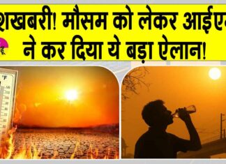 IMD Weather News