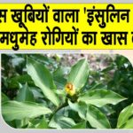 Benefits of insulin plant