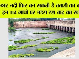 Jakhal News
