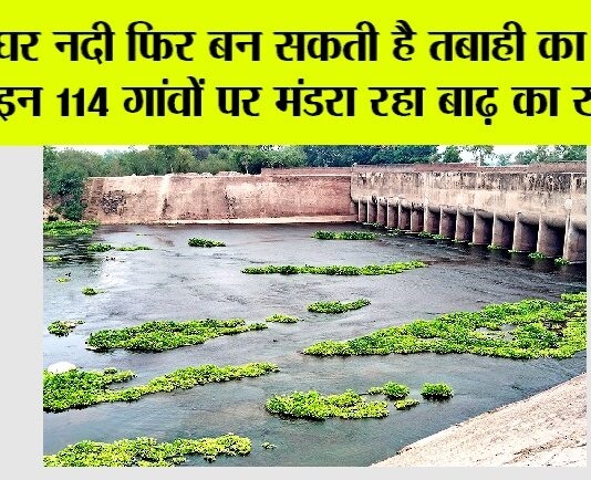 Jakhal News