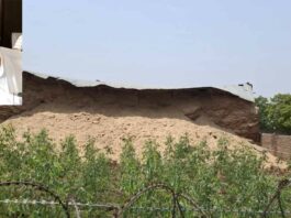 जाखल में गौशाला में बना तुड़ी का जर्जर गोदाम टूटा Jakhal News