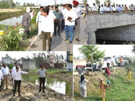 Kaithal News