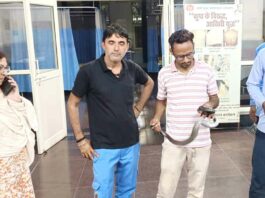 Kalayat News