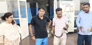 Kalayat News