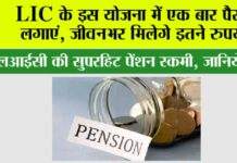 LIC Pension Plan