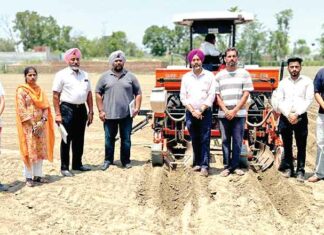 Punjab News