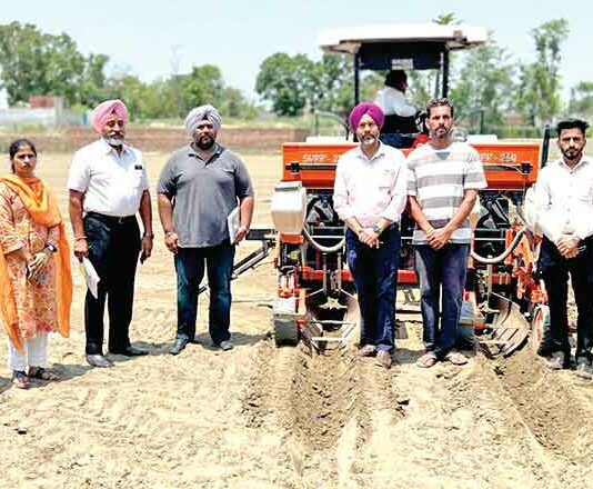 Punjab News