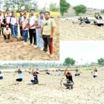 Malout News