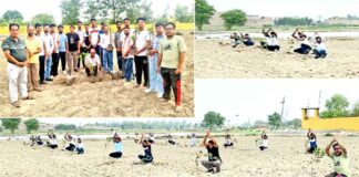 Malout News